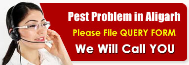 M.S.Pest Control Aligarh